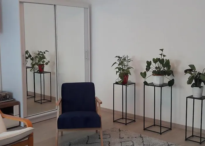 公寓 Liliom With Free Parking Space